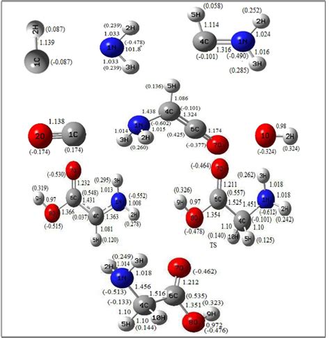 Optimized Geometries Of Reactants Products And Transition States