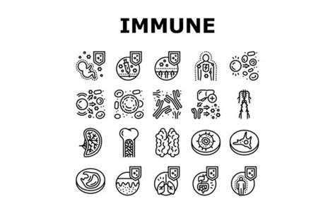 Immune System Disease And Treat Icons Graphic By Stockvectorwin