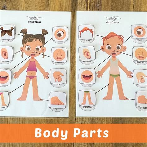 Body Partsbody Parts Printable Activityhomeschool Montessorilearning Activity Pagemy Body