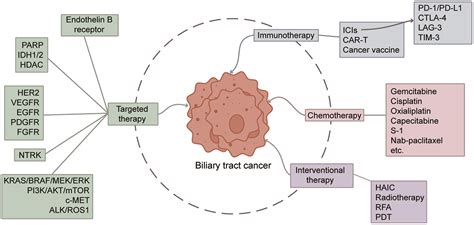 Combination Therapies For Advanced Biliary Tract Cancer