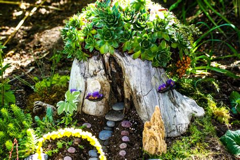 Fairy Garden Plants