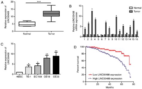 Upregulated LINC00488 In Esophageal Cancer Predicts Poor Prognosis