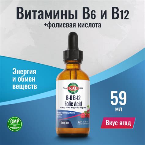 Жидкий Витамин Б-6, Витамин Б-12, фолиевая кислота, 59 мл с ягодным ...