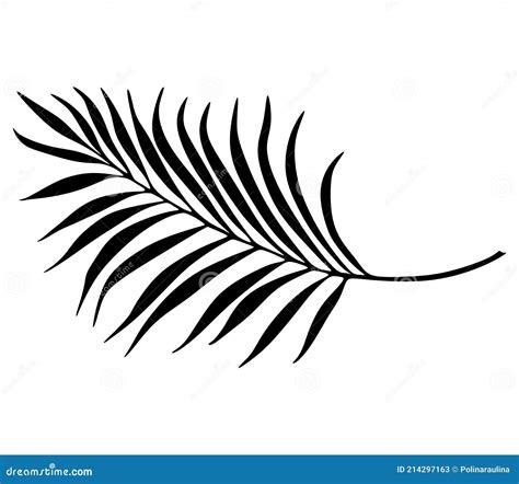 Palm Leaf Black Vector Silhouette Stock Vector Illustration Of