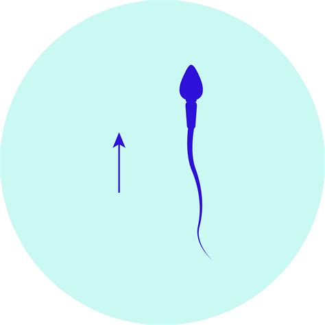 Male Fertility Testing Extend Fertility