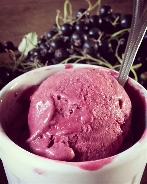 Cr Me Glac E Au Cassis Sans Sorbeti Re Sorbets Vegan Ice Cream Ice