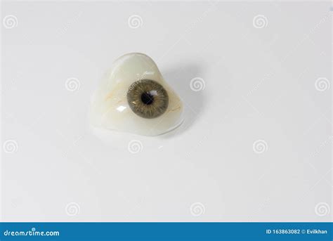 Glass Eye Prosthetic Or Ocular Prosthesis With Shadow On White Stock