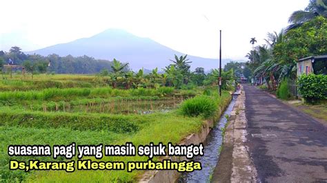 Pemandangan Suasana Pagi Di Kampung Ini Dia 7 Aktivitas Menarik Di