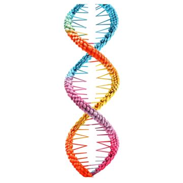 Dna Strand Sticker Clipart Colorful Dna Strand Vector Illustration