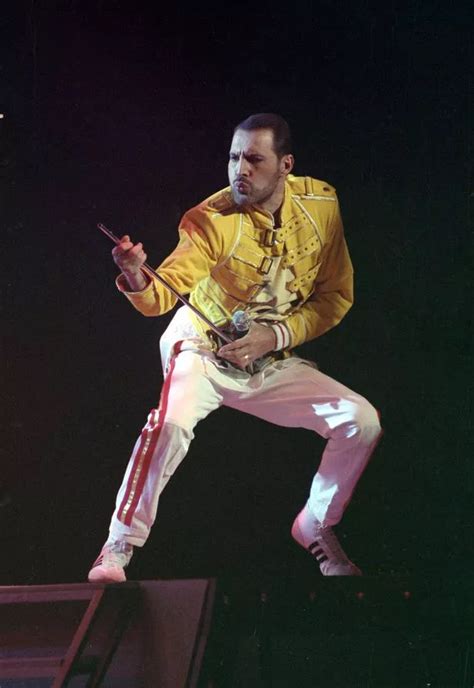 Freddie Mercury Sex Download – Telegraph