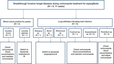 Diagram Of Pathogens And Treatment For Breakthrough Invasive Fungal