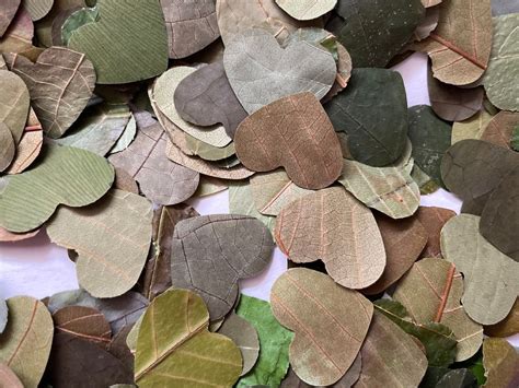 Biodegradable Leaf Confetti Wedding Toss Heart Shaped Etsy