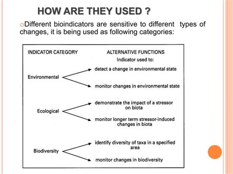 Insect As Pollution Indicator Ppt