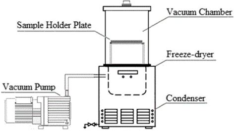 Parts Of A Tray Dryer Diagram 10+ Images Of Simple Tray Dryer, Tray Dryer Diagram, Tray Dryer ...