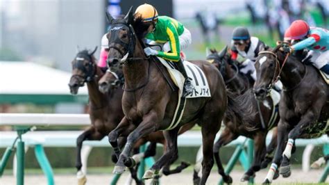 【123 飛騨sほか】中京ダイジェストjraレース結果 競馬予想動画 Netkeiba