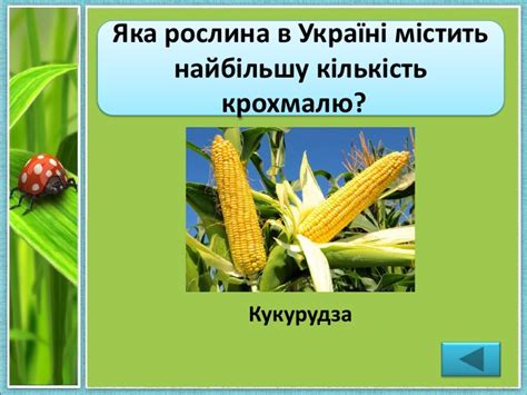 "Біологічний брейн-ринг". Презентація