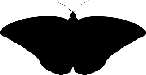 Butterfly Silhouette Clipart Free Download On Clipartmag