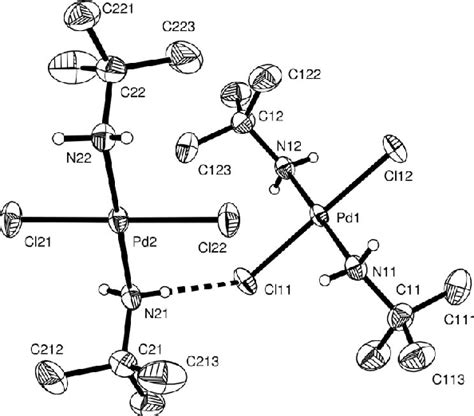 Figure 1 From Trans‐bistert‐butyl­aminedichloro­palladiumii Semantic Scholar