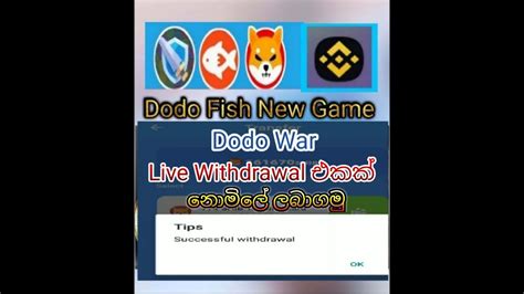 Live Withdrawal Dodo War App Dodo Fish War Game App Shibainucoin