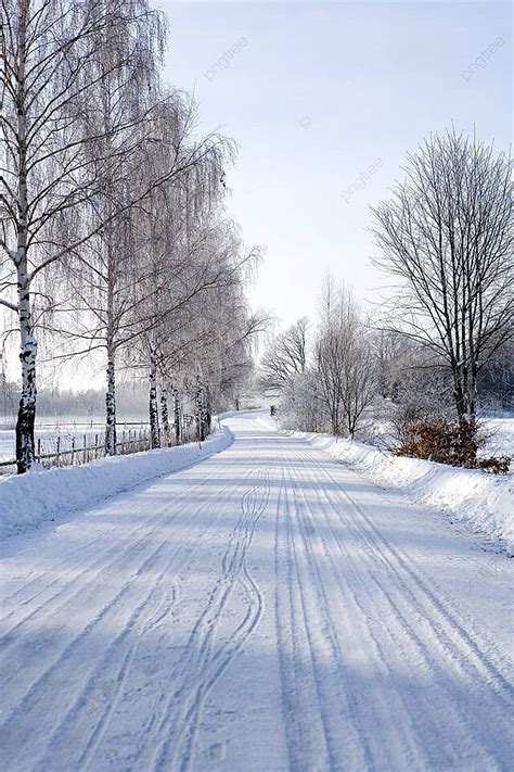 Kış Yol Huş Pastoral Doğa Fotoğraf Arka plan Ve Ücretsiz İndirmek İçin