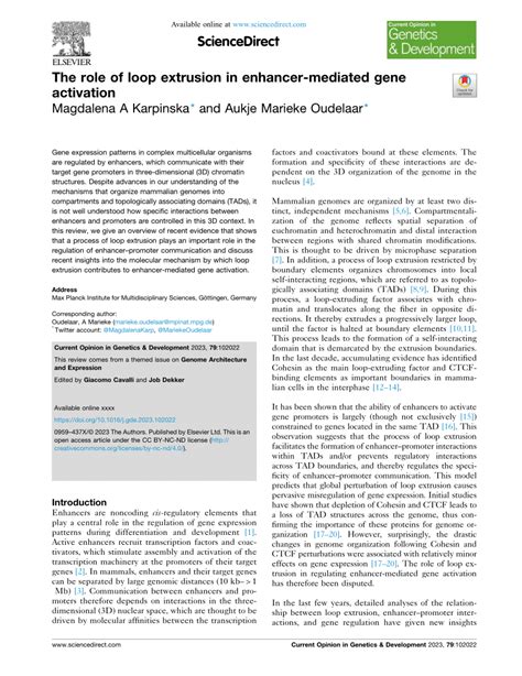 Pdf The Role Of Loop Extrusion In Enhancer Mediated Gene Activation