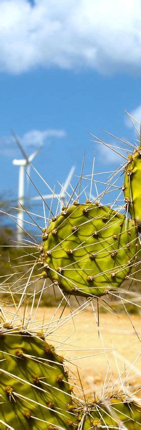 Ndc De Am Rica Latina Y El Caribe Recomendaciones Para Los Tomadores De Decisi N Un Nuevo