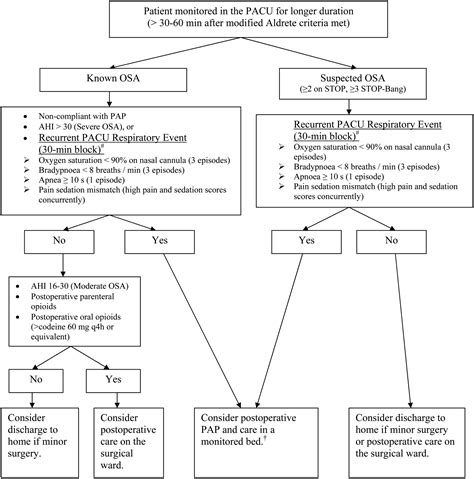 Obstructive Sleep Apnea Preoperative Assessment Anesthesiology Clinics