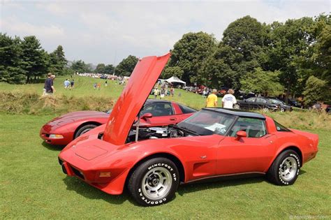 1979 Chevrolet Corvette C3 Image Photo 6 Of 14