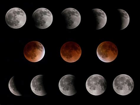 SIX TIPS FOR SUPER BLUE BLOOD MOON PHOTOGRAPHY | Olympus