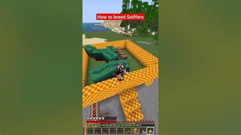 How To Breed Sniffers In Minecraft 1 20 Youtube