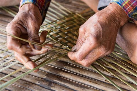 Plants That Can Be Woven Learn About Weaving Baskets From Plants