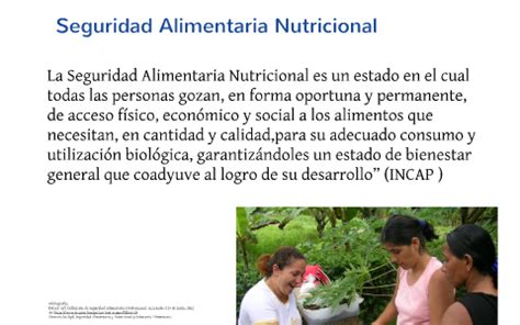 Seguridad Alimentaria Y Nutricional SAN By Priscilla Araya On Prezi