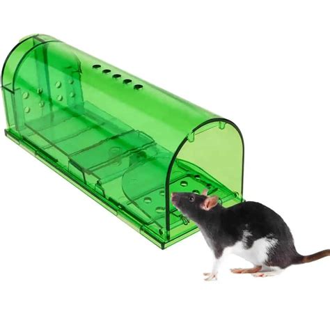 Meilleure piège à rats le comparatif en décembre 2020