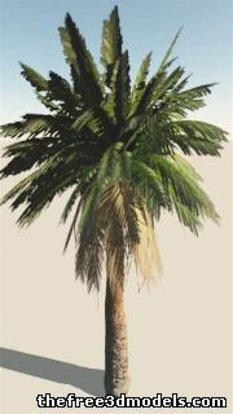 Palm Tree Free 3d Model 3ds Obj Sldprt Free3d