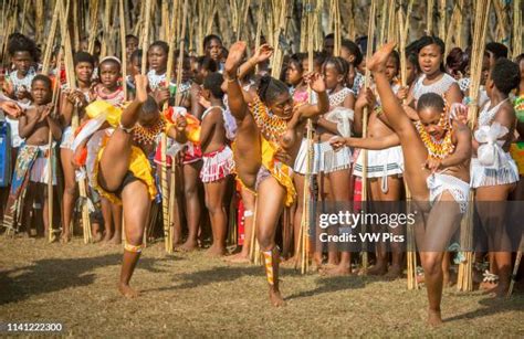 238 Swaziland Reed Dance Stock Photos, High-Res Pictures, and Images ...