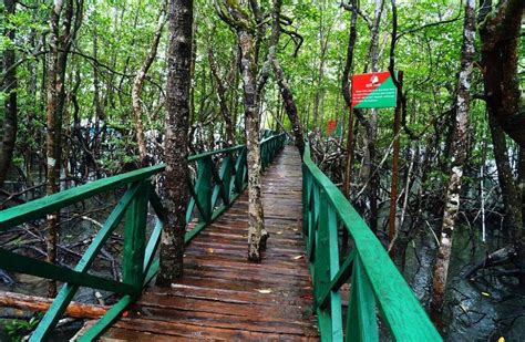 Limestone Caves Baratang Island, Things to do, How to reach