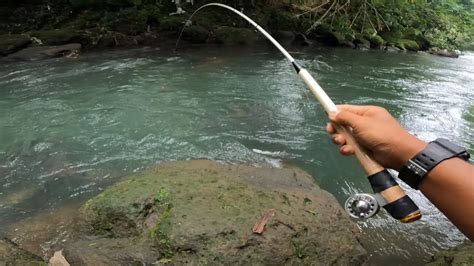 SENAR PANCING SAMPAI PUTUS DI TARIK IKAN NILEM BESAR MANCING UMPAN