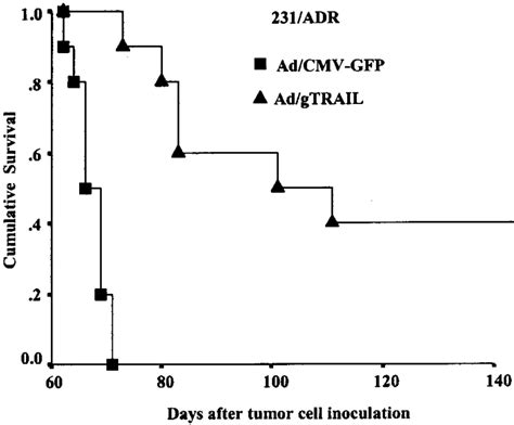 Anti Tumor Effect Of Ad Gtrail In Vivo Tumor Growth A D And Survival