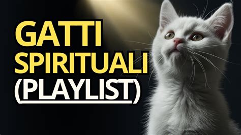 La Missione Segreta Dei Gatti Spiritualit Felina Youtube