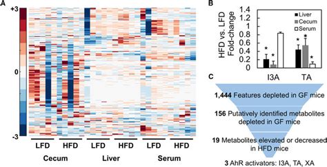 Liver Cecum And Serum Samples From Lfd And Hfd Fed Conv R Mice Male Download Scientific