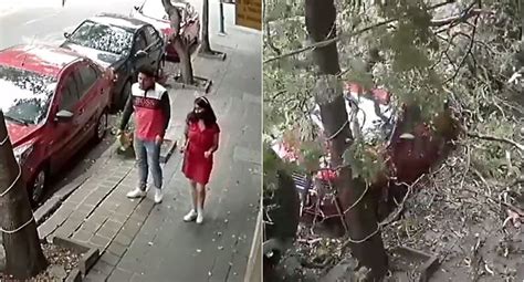 Video Pareja Se Salva De Ser Aplastada Por Un Rbol Tras Fuertes Vientos