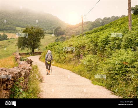 Lonely Pilgrim With Backpack Walking The Camino De Santiago In Spain