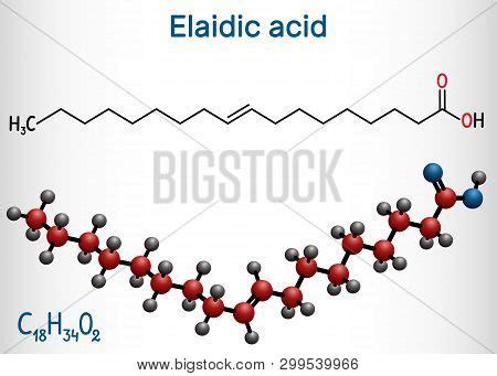 Elaidic Acid Molecule Vector Photo Free Trial Bigstock