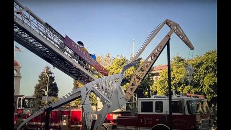 Santa Cruz Fire Department Save Bird From Tree Largest Ladder Rescue