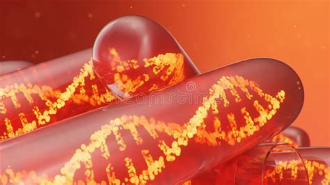 D Ilustraci N Dna Mol Cula Su Estructura Genoma Humano Conceptual