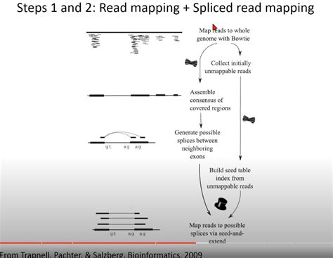 【rna Structures】rna Seq 分析 Rna转录的重构和前沿测序技术 转录组测序和分析原理 Csdn博客