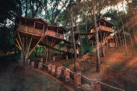 Asombroso hotel de casas de árbol en Zacatlán de las Manzanas Viajes