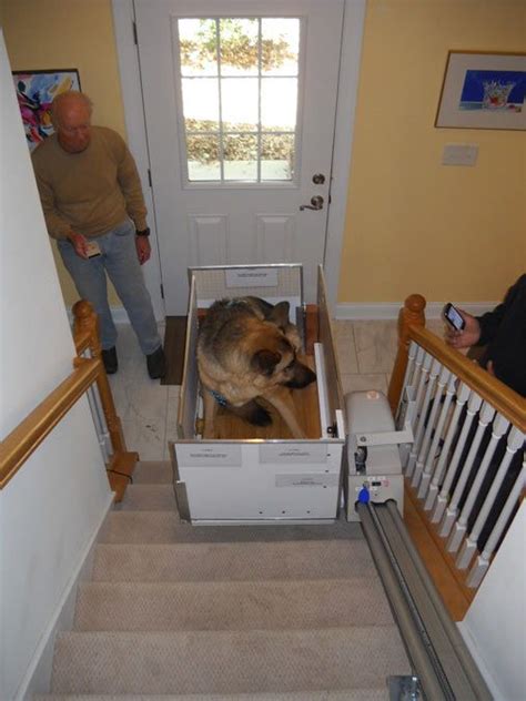 diy stair lift for dogs - Dab Hand Webcast Bildergalerie