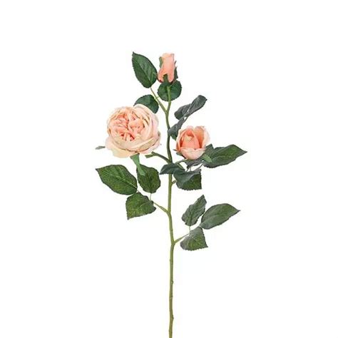 Kunst Engelse Roos Tak Zalm Roze 64 Cm Tuincentrum De Boet