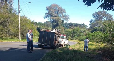 Cavalos em situação de maus tratos são resgatados em São Carlos SP